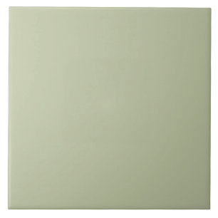 ER Sage Green bfc6a3 FN Tile