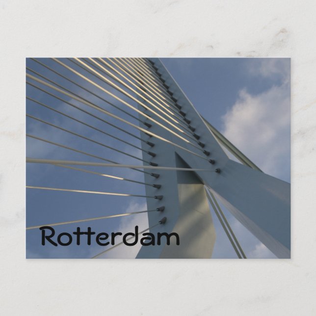 Erasmus Bridge, Rotterdam Postcard (Front)