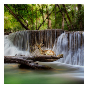 Erawan Waterfall with Deer Relaxing Poster