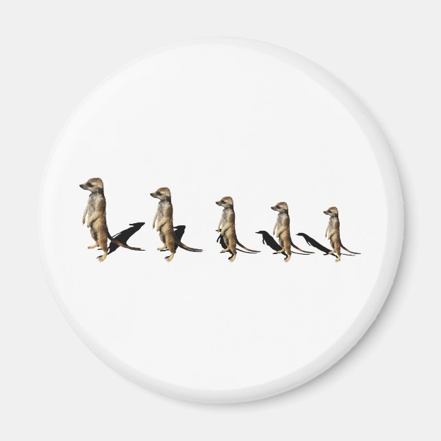 Erdmännchen in Reihe Magnet (Front)