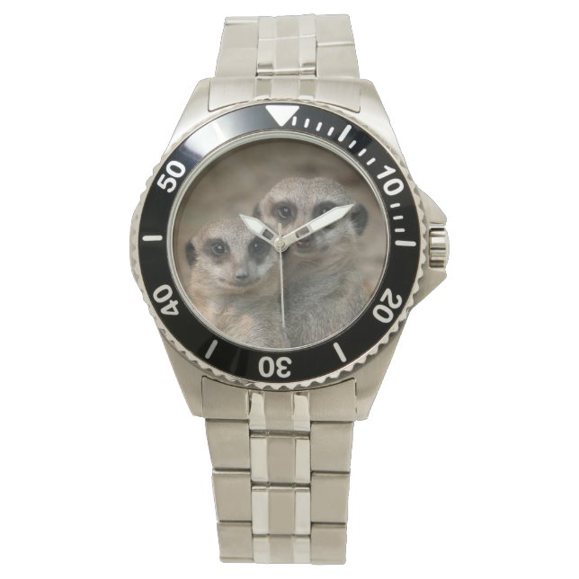 Erdmännchen - Meerkat Watch (Front)