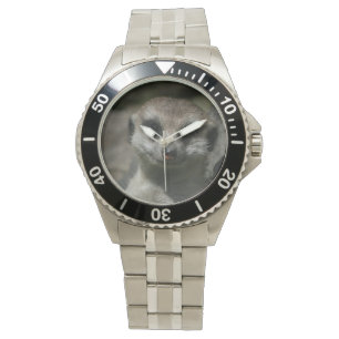 Erdmännchen - Meerkat Watch