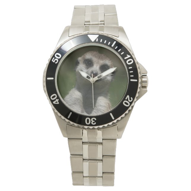 Erdmännchen - Meerkat Watch (Front)