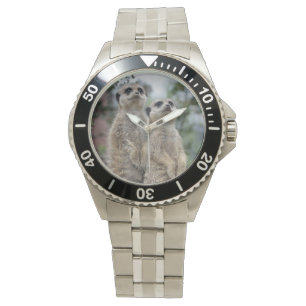 Erdmännchen - Meerkats Watch