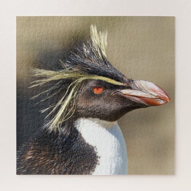 Erect-crested penguin jigsaw puzzle (Vertical)