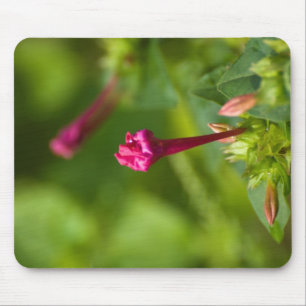 erected flower mouse mat