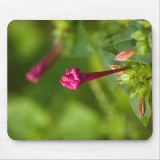 erected flower mouse mat