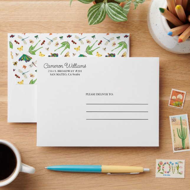 Eric Carle | Isn't Life Beautiful? Pattern Envelope (Desk)