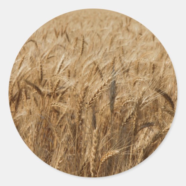 Erick, Oklahoma Route 66 Classic Round Sticker (Front)