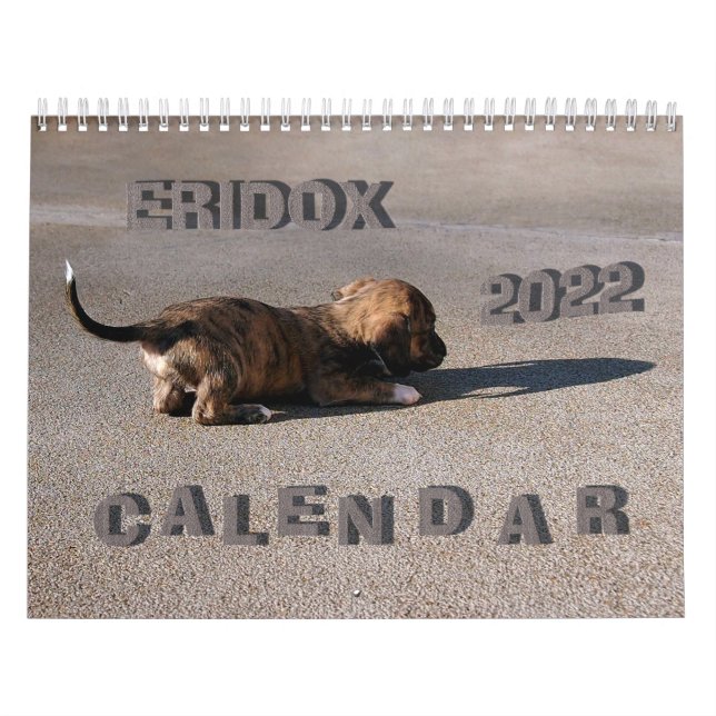 Eridox Dachshunds 2022 Calendar (Cover)