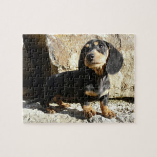 Eridox Dachshunds Karma Puppy Puzzle
