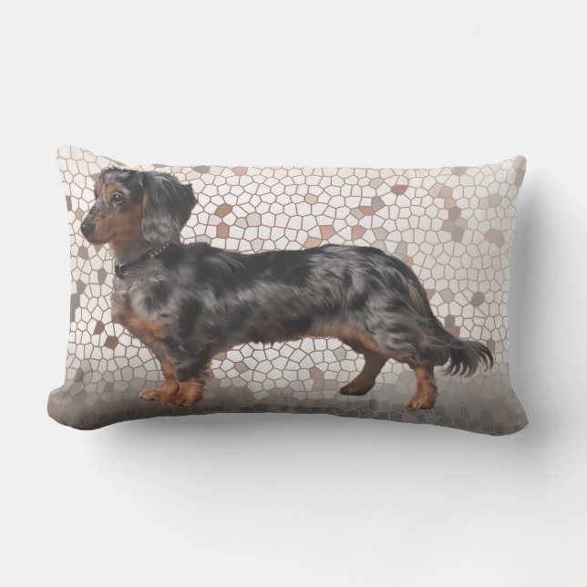 Eridox Dachshunds longhair dapple Aglaia pillow (Front)