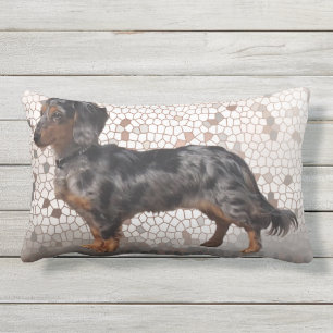 Eridox Dachshunds longhair dapple Aglaia pillow