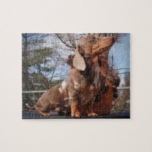 Eridox Dachshunds Nephele Puzzle