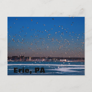 Erie, PA skyline Postcard