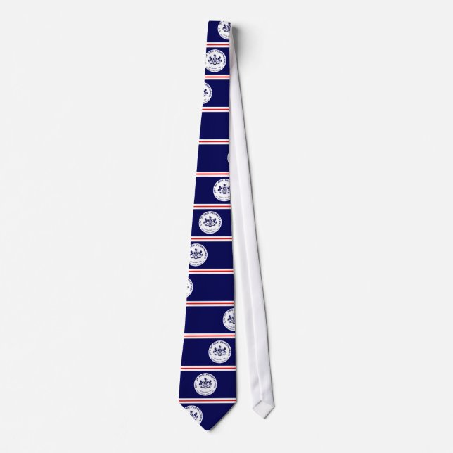Erie, Pennsylvania, United States Tie (Front)