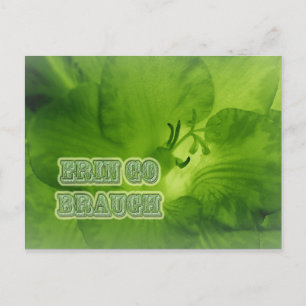 Erin Go Braugh Green Freesia Items Postcard