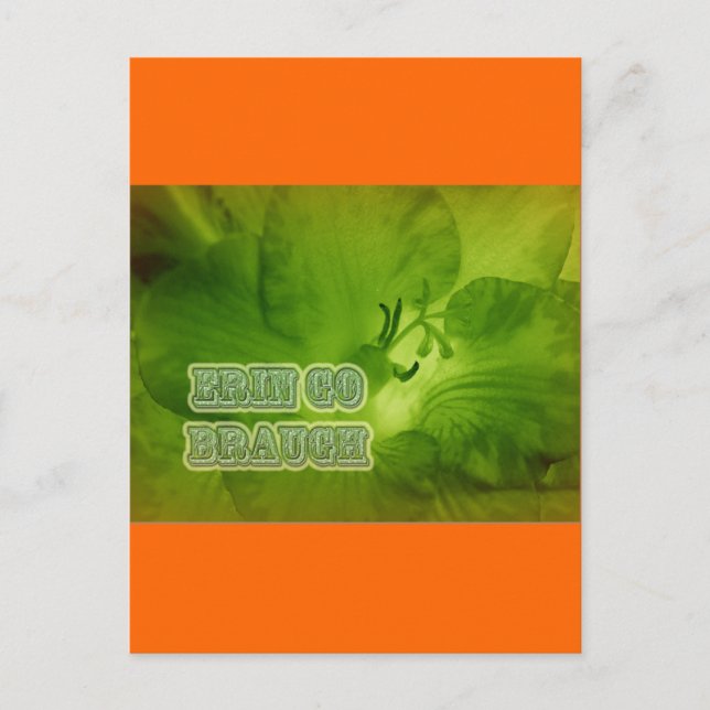 Erin Go Braugh Green Freesia Items Postcard (Front)