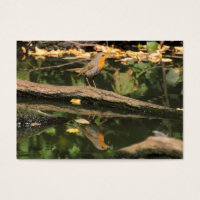 Erithacus rubecula