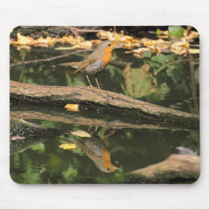 Erithacus rubecula mouse mat