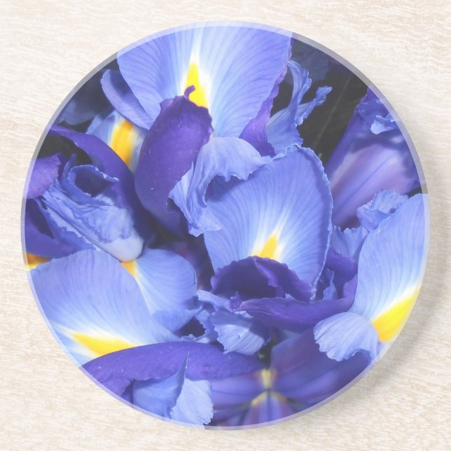 Ermengarde Coaster (Front)