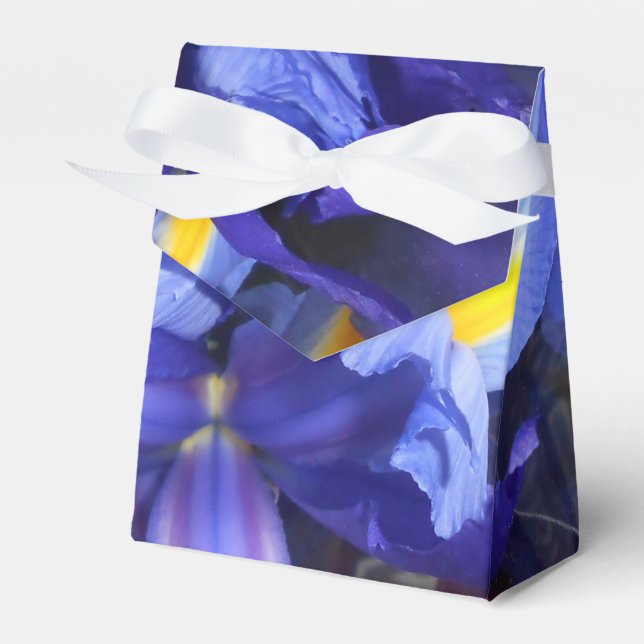 Ermengarde Favour Box (Front Side)