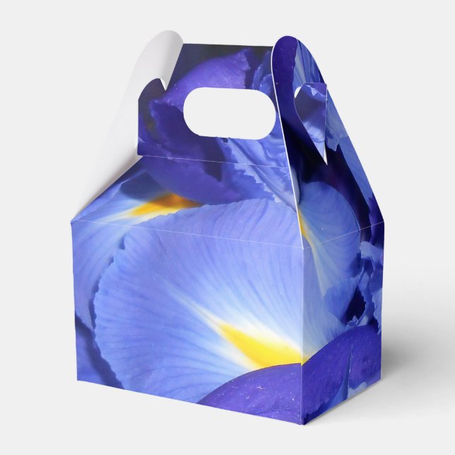 Ermengarde Favour Box (Back Side)