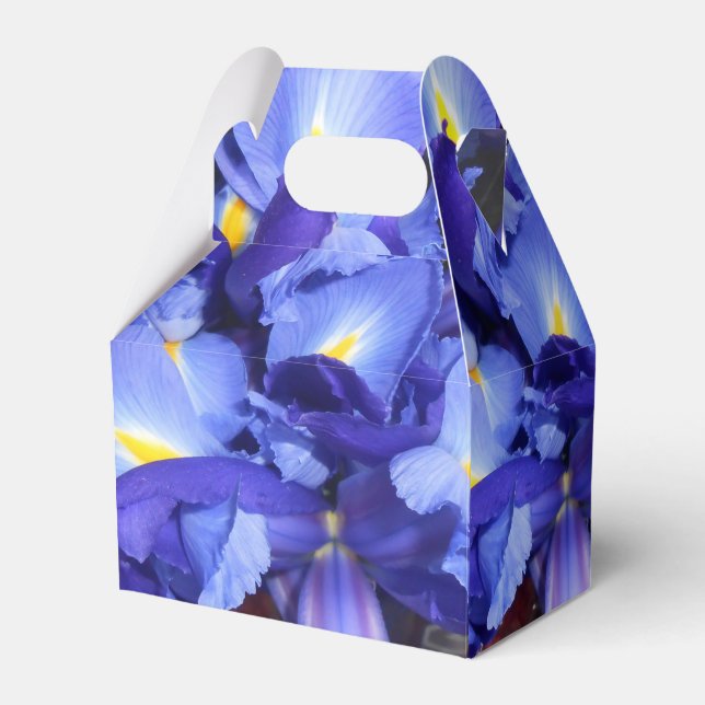 Ermengarde Favour Box (Front Side)