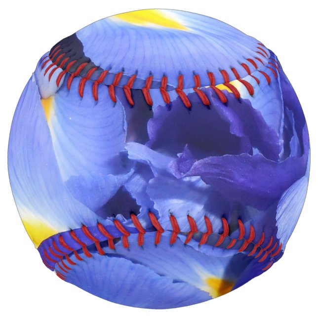 Ermengarde Softball (Front)