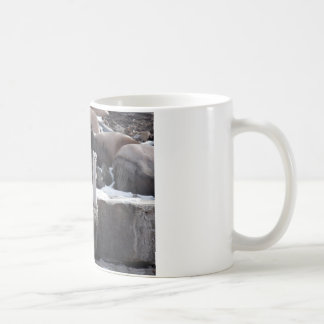 Ermine On Snowy Rocks Coffee Mug
