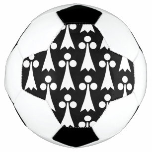 Ermine Pattern, Mediaeval Pattern, White on Black Football