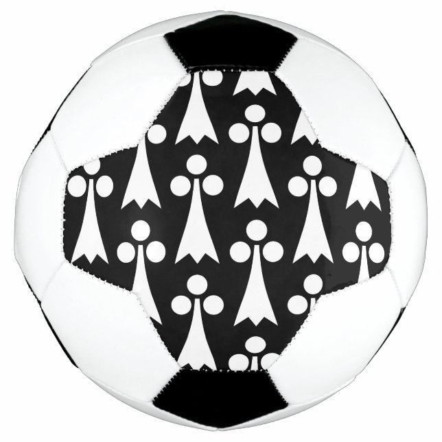 Ermine Pattern, Mediaeval Pattern, White on Black Football (Front)