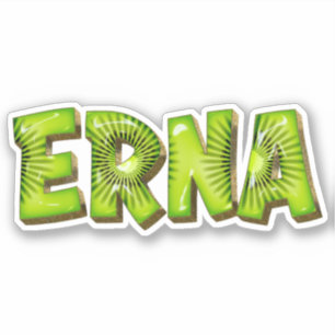 Erna Name Kiwi Design Sticker