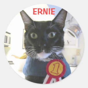 ERNIE STICKER