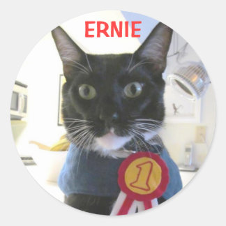 ERNIE STICKER