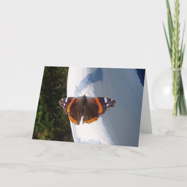 "Ernie the Butterfly" Get Well Card (Front)