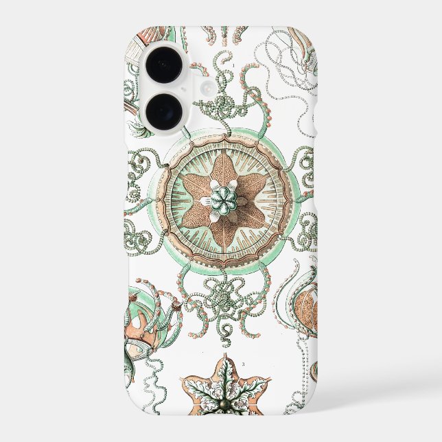 Ernst Haeckel  (Back)