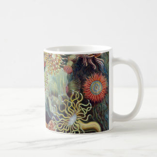 Ernst Haeckel Actiniaea sea anemone Coffee Mug