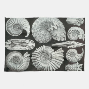 Ernst Haeckel Ammonitida fossils Tea Towel