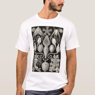 Ernst Haeckel - Amphoridea T-Shirt