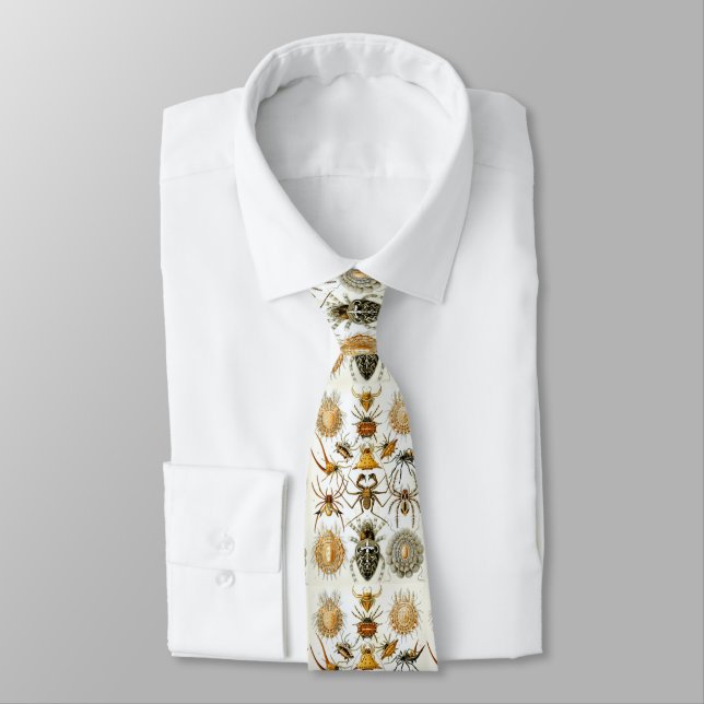 Ernst Haeckel Arachnid Illustration Entomology Tie (Tied)