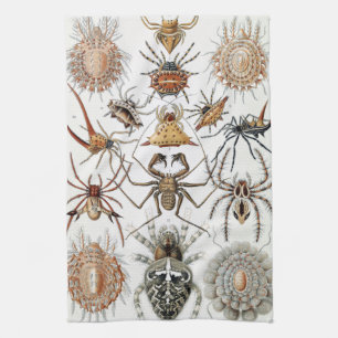 Ernst Haeckel Arachnida Spiders Poster Case-Mate i Tea Towel