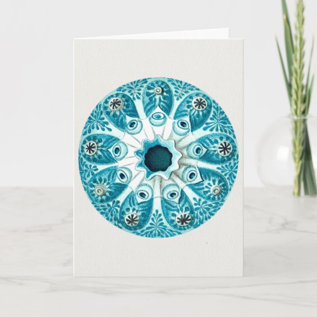 Ernst Haeckel Artforms Of Nature Greeting Card (Front)