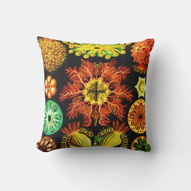 Ernst Haeckel Ascidiae Cushion (Front)