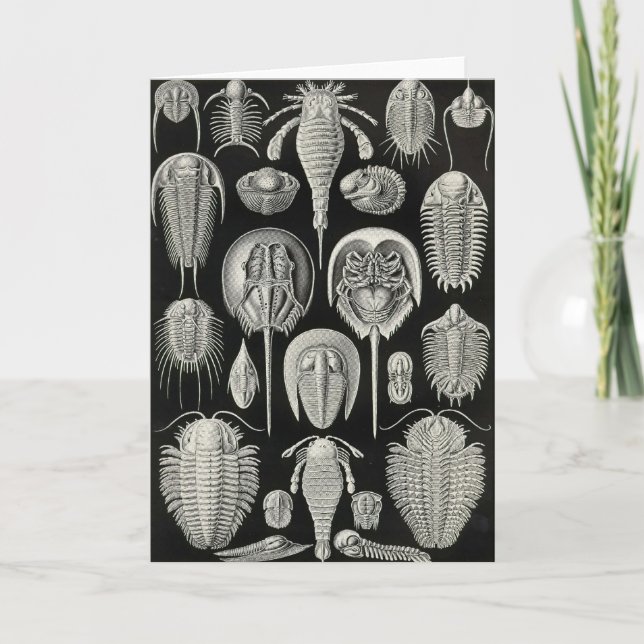 Ernst Haeckel - Aspidonia Card (Front)