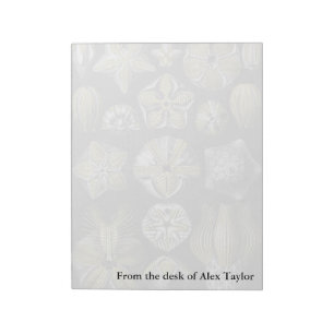 Ernst Haeckel Blastoidea Notepad
