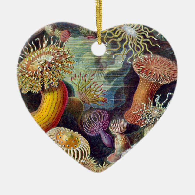 Ernst Haeckel Ceramic Tree Decoration (Front)