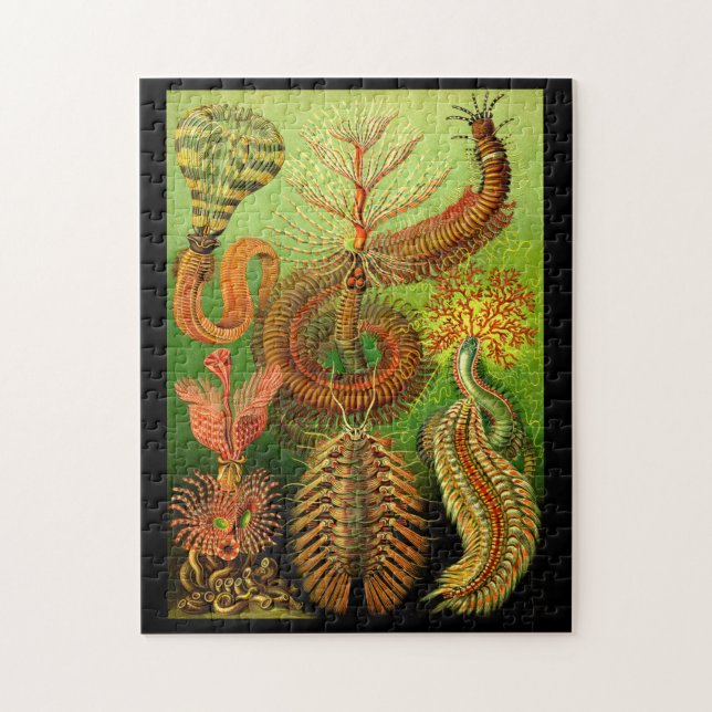 Ernst Haeckel Chaetopoda Jigsaw Puzzle (Vertical)