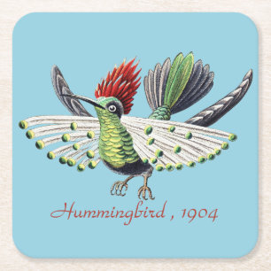 Ernst Haeckel Colourful Hummingbird Nature Art Square Paper Coaster