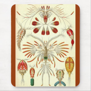 Ernst Haeckel - Copepoda Mouse Mat